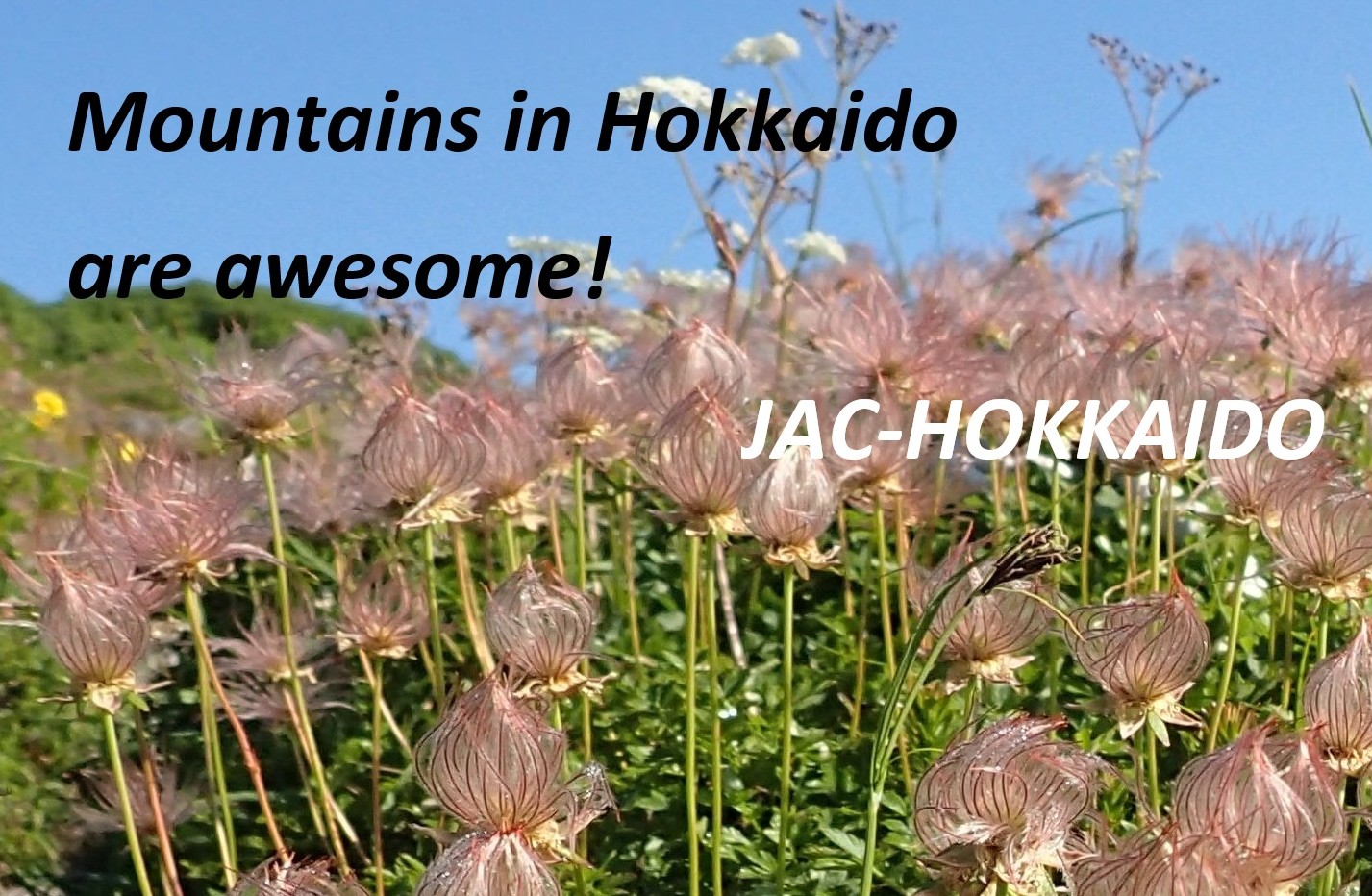 日本山岳会北海道支部