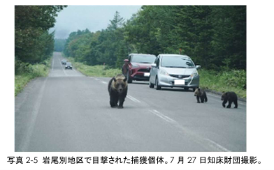 知床ヒグマ対策連絡会議 発表の「事故の概要」から